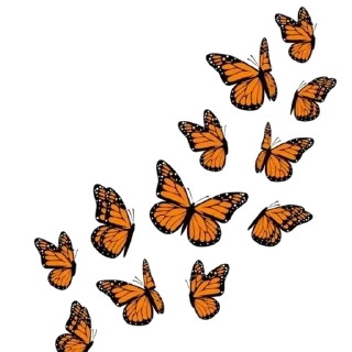 🌟 emoji Butterfly 🦋 ⃝⃪𐏓 :: @MrUnknownS Telegram sticker 6 of 21