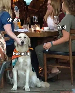 🙂 emoji Gc ke memes by Yuki Telegram sticker 8 of 11