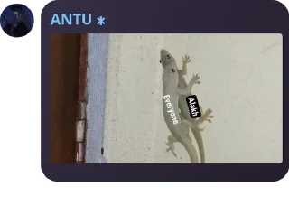 🧿 emoji Cricket Lafda GC pack by @QuotLyBot Telegram sticker 23 of 102