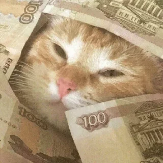 🤑 emoji @THE_HITMAN_NO_1 pack of god Telegram sticker 14 of 70