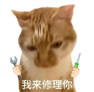 ⭐ emoji 猫meme @likeNSFW @ziyuansousuo4 Telegram sticker 13 of 15