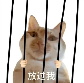 ⭐ emoji 猫meme @likeNSFW @ziyuansousuo4 Telegram sticker 12 of 15
