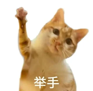 ⭐ emoji 猫meme @likeNSFW @ziyuansousuo4 Telegram sticker 9 of 15