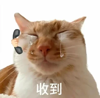 ⭐ emoji 猫meme @likeNSFW @ziyuansousuo4 Telegram sticker 15 of 15