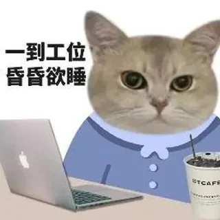 ⭐ emoji 猫meme @likeNSFW @ziyuansousuo4 Telegram sticker 5 of 15
