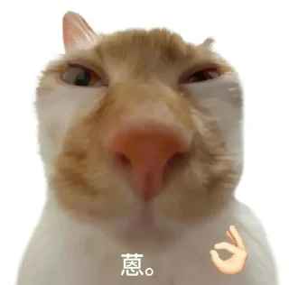⭐ emoji 猫meme @likeNSFW @ziyuansousuo4 Telegram sticker 14 of 15