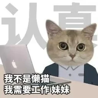 ⭐ emoji 猫meme @likeNSFW @ziyuansousuo4 Telegram sticker 10 of 15