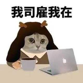 ⭐ emoji 猫meme @likeNSFW @ziyuansousuo4 Telegram sticker 7 of 15