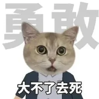 ⭐ emoji 猫meme @likeNSFW @ziyuansousuo4 Telegram sticker 11 of 15