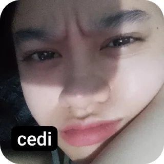 Sticker from memek