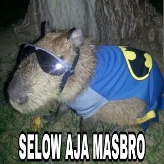Sticker from Masbro