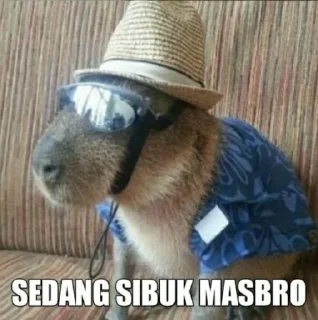 Sticker from Masbro