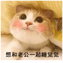 Sticker from love cat