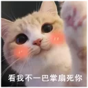 Sticker from love cat