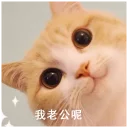 Sticker from love cat