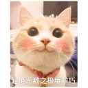 Sticker from love cat