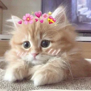 💜 emoji @Its_me_Preet .. @Sabka_friend Telegram sticker 14 of 45