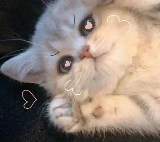 💜 emoji @Its_me_Preet .. @Sabka_friend Telegram sticker 19 of 45
