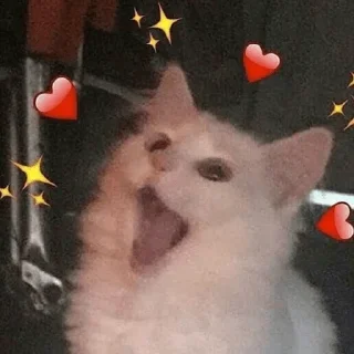 Sticker from Cat World Domination