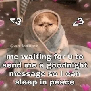 😭 emoji °•Cat mood•° @StellarLadyy — @stckrRobot Telegram sticker 22 of 116