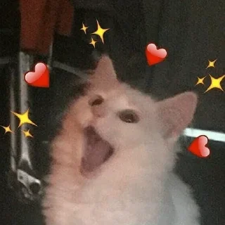 Sticker from °•Cat mood•° @StellarLadyy — @stckrRobot