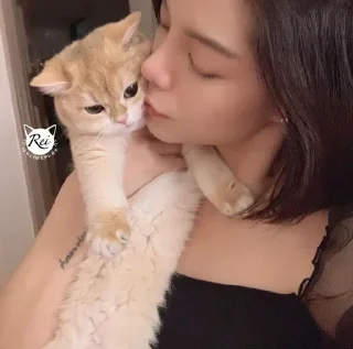 😘 emoji Cat mood || @StellarLadyy — @stckrRobot Telegram sticker 22 of 120