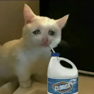 😥 emoji °•Cat mood•° @StellarLadyy — @stckrRobot Telegram sticker 14 of 116