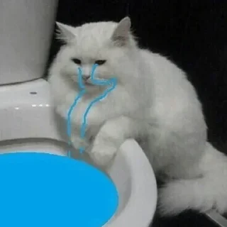 😿 emoji @StellarLadyy | random — @stckrRobot Telegram sticker 12 of 32
