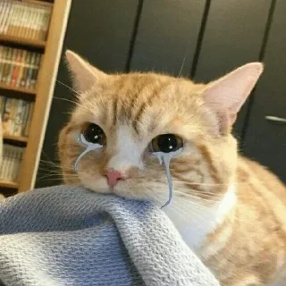 😭 emoji @StellarLadyy | random — @stckrRobot Telegram sticker 21 of 32