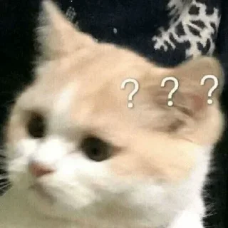 😐 emoji Cat mood || @StellarLadyy — @stckrRobot Telegram sticker 11 of 120