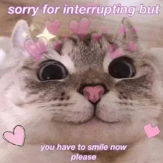 🥰 emoji °•Cat mood•° @StellarLadyy — @stckrRobot Telegram sticker 7 of 116