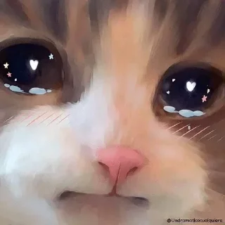 🥺 emoji Cat mood || @StellarLadyy — @stckrRobot Telegram sticker 6 of 120