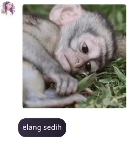 🤽‍♂️ emoji 𝐓𝐇𝐄 𝐄𝐈𝐆𝐇𝐓𝐘¹[opmem] pack by @QuotLyBot Telegram sticker 17 of 120