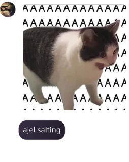 🙋‍♀️ emoji 𝐓𝐇𝐄 𝐄𝐈𝐆𝐇𝐓𝐘¹[opmem] pack by @QuotLyBot Telegram sticker 10 of 120