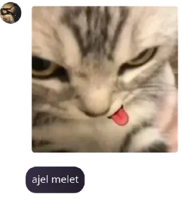 🐤 emoji 𝐓𝐇𝐄 𝐄𝐈𝐆𝐇𝐓𝐘¹[opmem] pack by @QuotLyBot Telegram sticker 8 of 120