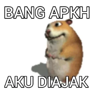 🙋‍♀️ emoji colong aja sayangg. Telegram sticker 4 of 38