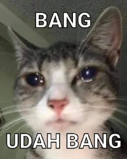 😀 emoji colong aja sayangg. Telegram sticker 12 of 38