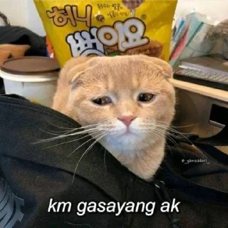 😁 emoji opet @ekucingilang Telegram sticker 7 of 40
