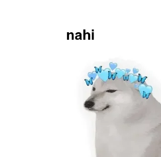 ✔️ emoji 𝗞𝘼𝗡𝚵𝗞𝗜 ⌯ ❰𝗜𝗡𝗦𝗔𝗡𝚵❱'s Telegram sticker 20 of 29