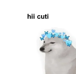 ✔️ emoji 𝗞𝘼𝗡𝚵𝗞𝗜 ⌯ ❰𝗜𝗡𝗦𝗔𝗡𝚵❱'s Telegram sticker 9 of 29