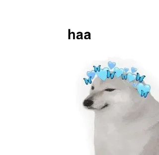 ✔️ emoji 𝗞𝘼𝗡𝚵𝗞𝗜 ⌯ ❰𝗜𝗡𝗦𝗔𝗡𝚵❱'s Telegram sticker 12 of 29