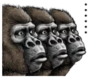 Sticker from Gorilla gorilla @stickerscar