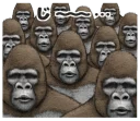 Sticker from Gorilla gorilla @stickerscar