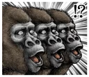 Sticker from Gorilla gorilla @stickerscar