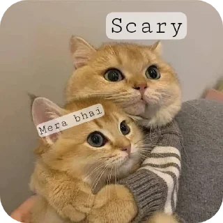 Sticker from @theyhates_scary 👀 Stickers