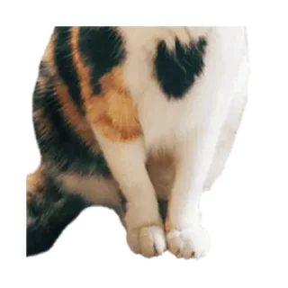 ⚪️ emoji talooong 4 | @phstickerpackganern Telegram sticker 10 of 120