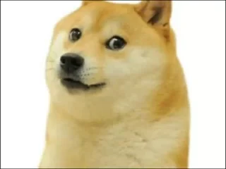 🙂 emoji ‌‌‌‌‌‌‌Ƭσᴍσᴢᴀᴋ𝚒s video kang pack Telegram sticker 11 of 28