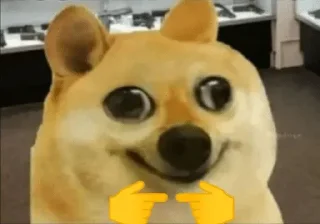 Sticker from Doge