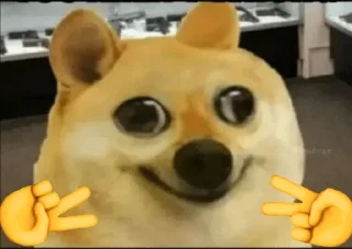 😎 emoji Doge Telegram sticker 5 of 111