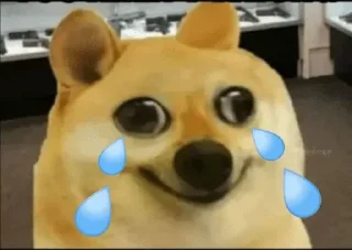 😭 emoji Doge Telegram sticker 11 of 111